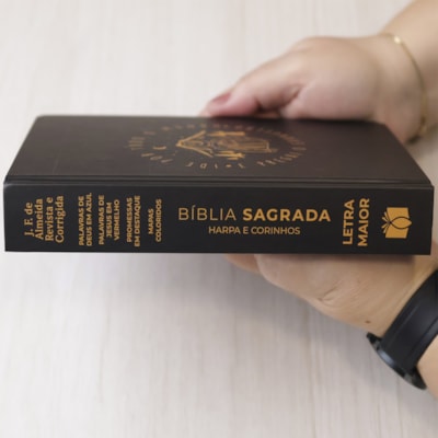 image_bddeaba2-668d-4b75-9e32-a496f056ef31