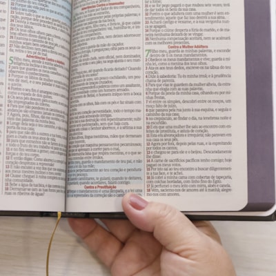 image_42bf88f5-dc07-482e-9aa4-a1706f8c6fd2