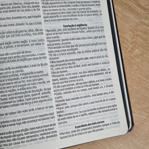 Bíblia Sagrada Ide Por Todo O Mundo | ACF | Letra Maior | Capa Luxo