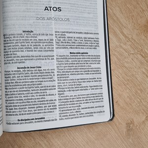 Bíblia Sagrada Ide Por Todo O Mundo | ACF | Letra Maior | Capa Luxo