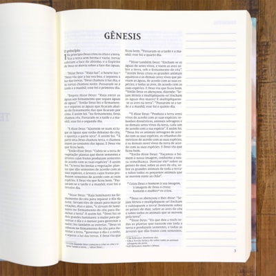 image_9da884c6-1df4-465c-a1ac-1015a5732448