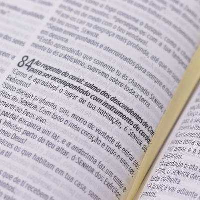 image_ebec85d5-d2d5-4d8c-917c-4088faf285f4