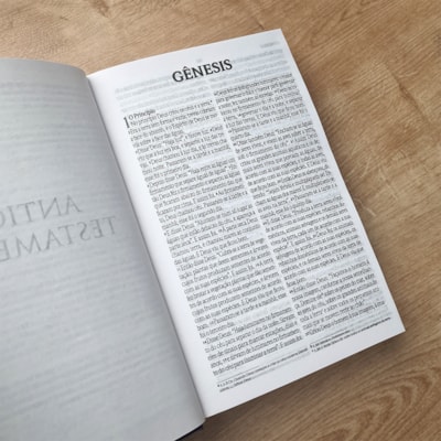 image_ee2c5393-e4f5-4afb-8ff3-a49be454008c