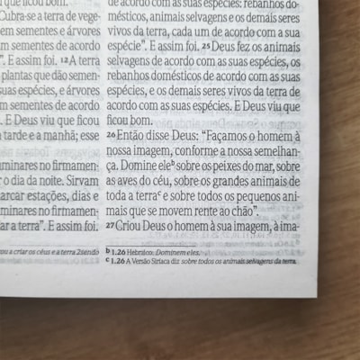 image_250d9125-aa21-4b81-9119-e01235eed9b1