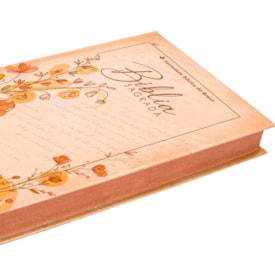 Segunda imagem do produto Bíblia Sagrada Ilustrada Ramos | ARC | Letra Normal | Capa Dura Evangelismo