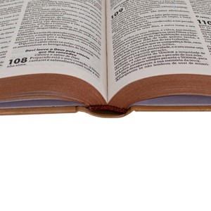 Bíblia Sagrada Ilustrada Ramos | ARC | Letra Normal | Capa Dura Evangelismo