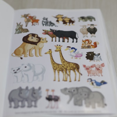 image_3cf63ff8-61c2-491e-95ca-d3d42937a30e