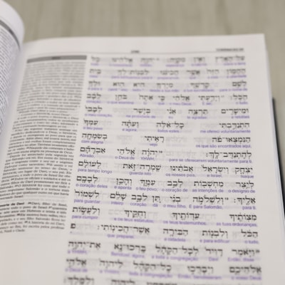 image_397edca4-19b6-4935-ace5-598b7a9ef780