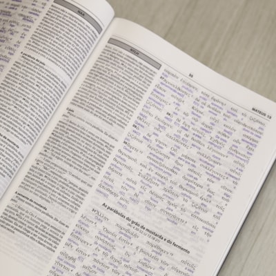 image_bf7637f5-a785-4189-b56b-39f3d6b050e4