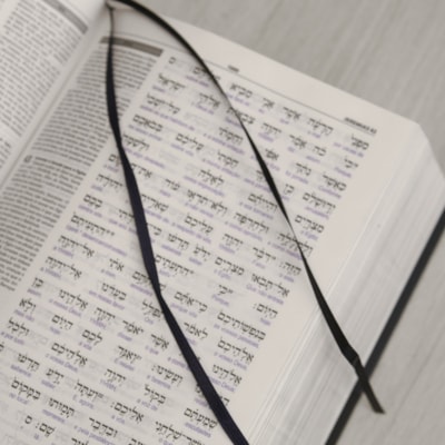 image_f96603b5-42c8-49c0-ae11-c59d2e450296