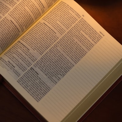 image_f3c7014e-32da-4779-b5d7-ba4434cb0ddb