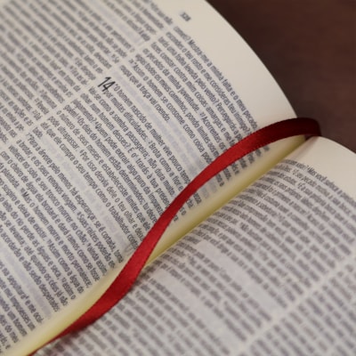 image_94335e44-47d4-45e4-a69f-4524c3cc395a