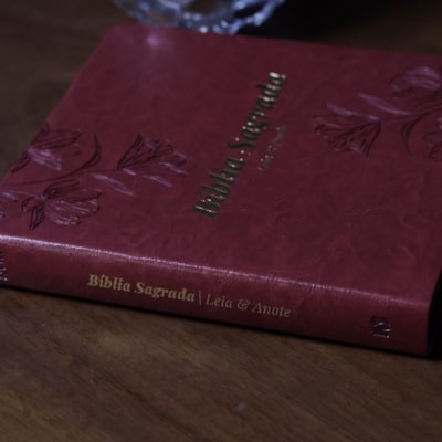 image_fbcd6481-0b2c-4dcf-bad3-a934e6444a7a