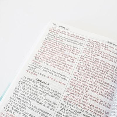 image_408bf804-58d1-4c03-96e5-faea75629cb0