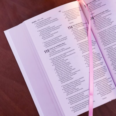 image_9d6ab695-8e51-4d18-b79c-3fca1965a36c