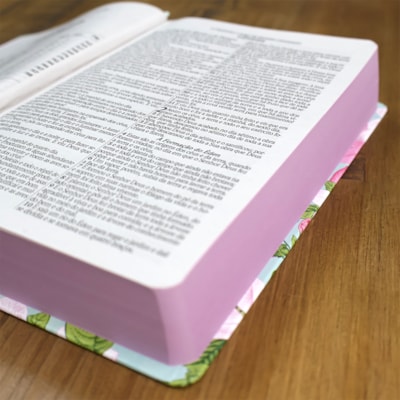 image_17cf026b-57f0-4c31-842d-47e0cf01ed0b