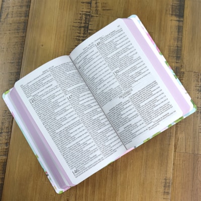 image_0db21e2a-6e6f-485c-b1d1-f153beed1445