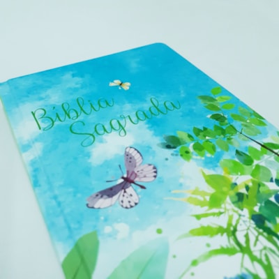 image_446b2a21-49fa-4b3d-bd39-d83b462f403e