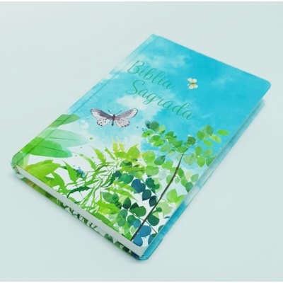 image_416bb813-76e0-4b14-b96a-025b2b838723