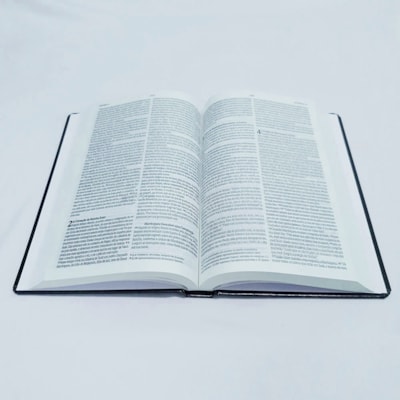 image_6fda68bf-b98f-4277-bd04-3c02c4a009b7