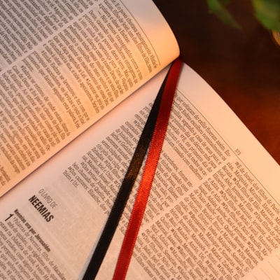 image_8382334e-d2df-4d4b-9315-08b597e27dd9