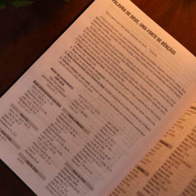 image_4620fedd-b505-466c-88cb-e97ec3c784a3