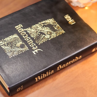 image_467c6b7f-ef04-4b20-8e5d-89fe44a32179