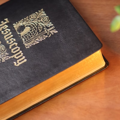 image_1b296bde-6195-4828-a7d5-995617d40cd5