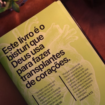 image_9e38a01e-58d1-47ca-9b93-7e87f8187e12