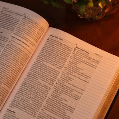 image_8eebe6c7-12fb-4d21-b2a6-dc12378c9f7e