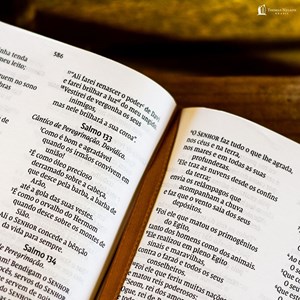 Bíblia Sagrada Jesus Cristo Artística | NVI | Letra Normal | Capa Dura Dourada