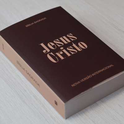 image_487a33fa-ff96-42a9-964e-5bc496ffbf6b