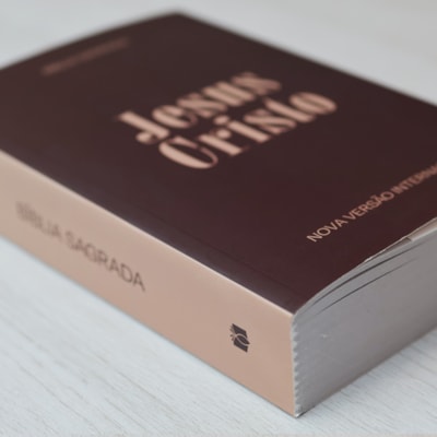 image_70de41e5-4b61-4bd9-a3f7-4144855f02ee