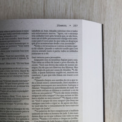 image_410dadd7-ce09-48d4-9912-aa45a7f8cb95