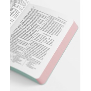 Bíblia Sagrada Jesus Freak | NVI | Capa Dura Ypê Flores