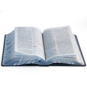 Bíblia Sagrada Jesus Freak | NVI | Letra Gigante | Capa Preta