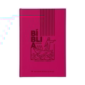 Bíblia Sagrada Jesus no Barco | ARA | Capa Dura Pink