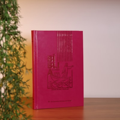 image_913bbc9f-8b5b-43ae-9e15-132d253b3f74