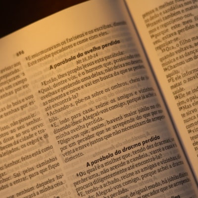 image_67380a86-bb93-4a26-a992-20ebe186867e