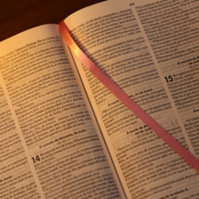 image_bab7466f-3882-4e28-b0f2-defe32e0f203