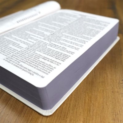 image_6fb95e41-f0cc-4532-83b8-5b706e1cb0a8