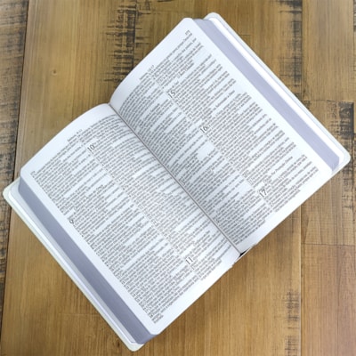 image_137c9e0c-e553-47a3-8312-cf68053858f4