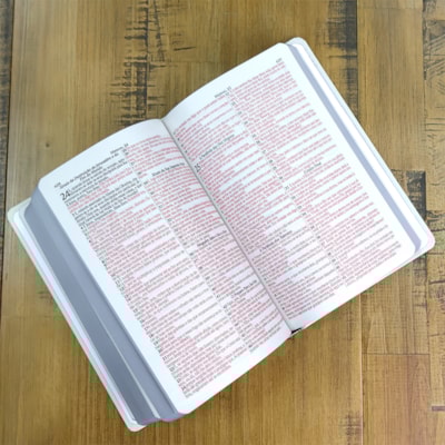 image_bfb53c28-74ac-4263-ab8c-2fd6dcdf6b54