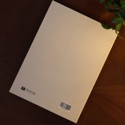 image_a7a8dd30-0a66-40cc-87dd-f9160e518720