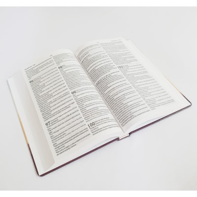 image_ce2ad502-75d0-4b26-bf9e-bed11c01b512