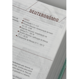 Segunda imagem do produto Bíblia Sagrada - Jornada com Cristo | NVT | Capa Verde