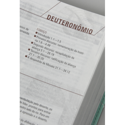 image_d7693f84-78b1-4094-97c8-d9fbbc5e862b