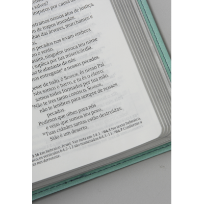 image_5c363f42-d8ec-440b-b3d5-cdd1f0dea4bb