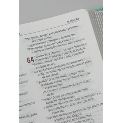 image_fd841170-4658-4946-a132-2d65f2c81a97