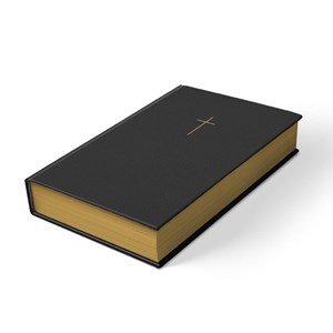 Bíblia Sagrada Jornada Cruz| NAA | Letra Normal | Com espaços para anotações